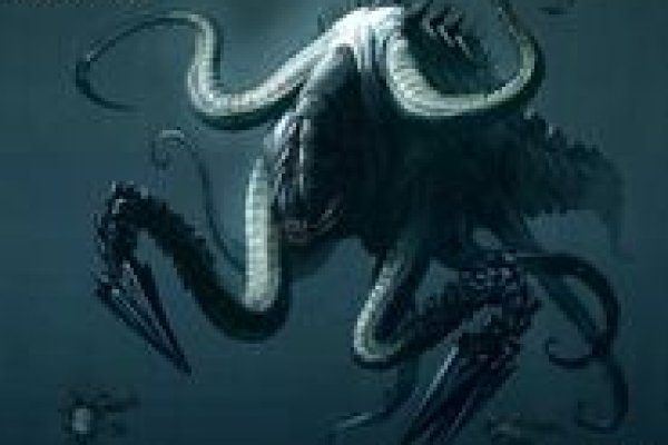 Kraken что это за магазин