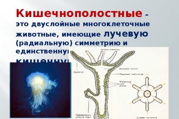 Кракен рынок сайт