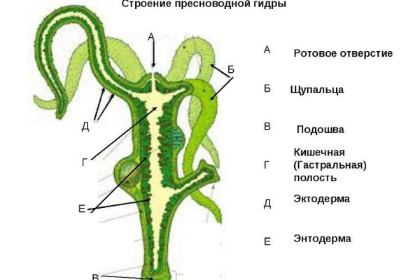 Kraken наркошоп