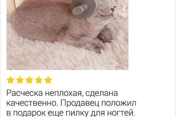 Как вывести деньги с кракена тор